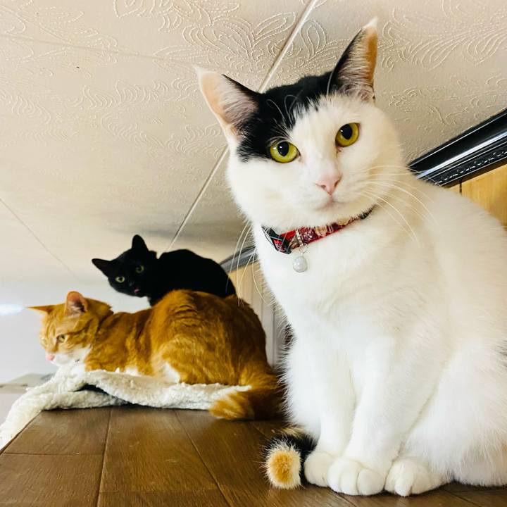 444bbbcd 794c 4720 8b29 78be5e412c29 1681036090971