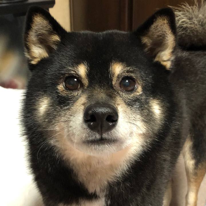 444bc90e aa6b 43f3 8764 d5464c4ec72d 1581591130907