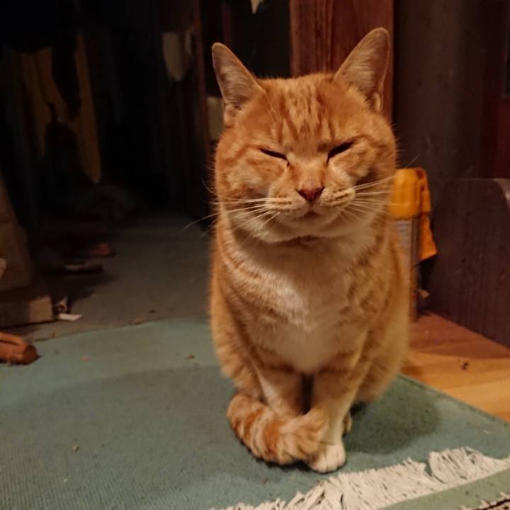 444bf7a6 6011 4004 81b2 7264540751bd 1578300626750