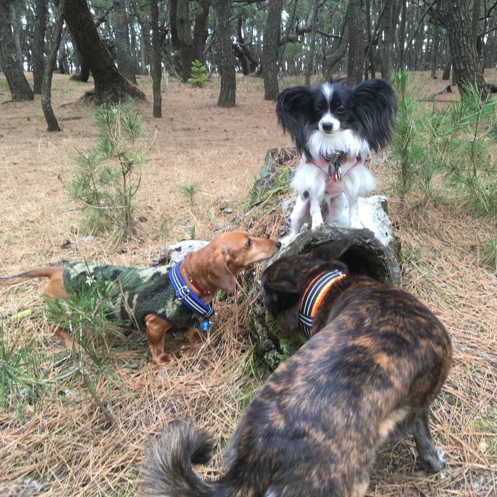 444c2c3f 9701 4b00 bcbb 076494a51b7e 1550927802553