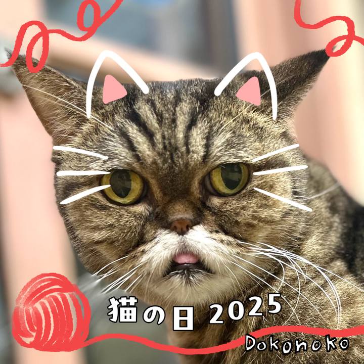 444c3fc1 17d0 4690 9c17 b3b6e3af9fae 1740201050786