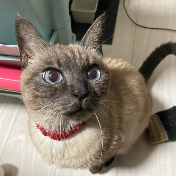 444c45fc c412 4c96 b5a4 2913a07e4fd8 1770722597513