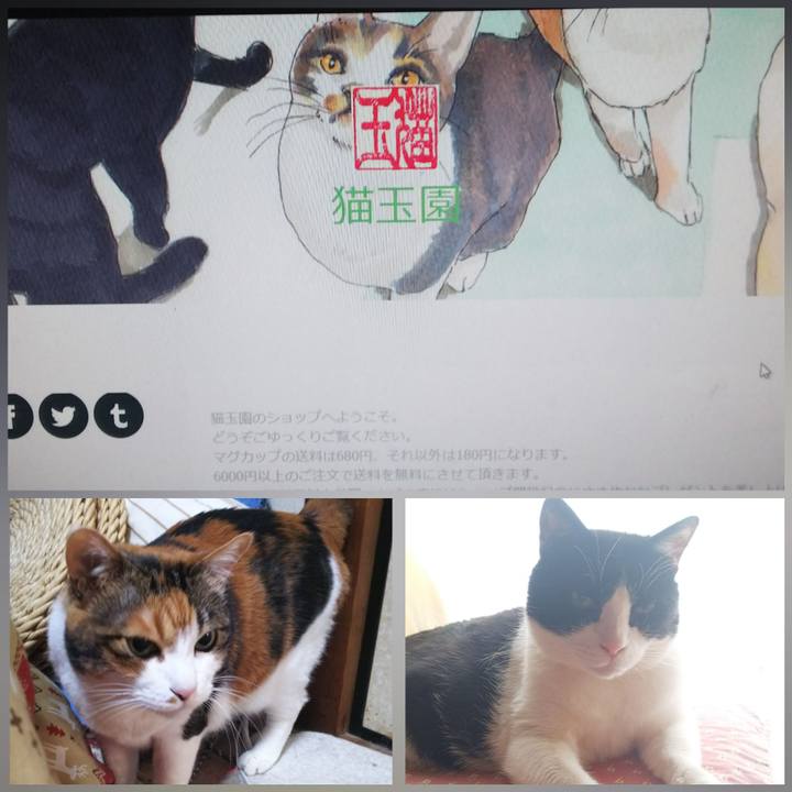 444c755a 6296 42e3 a769 8447c24abcf5 1551608160232