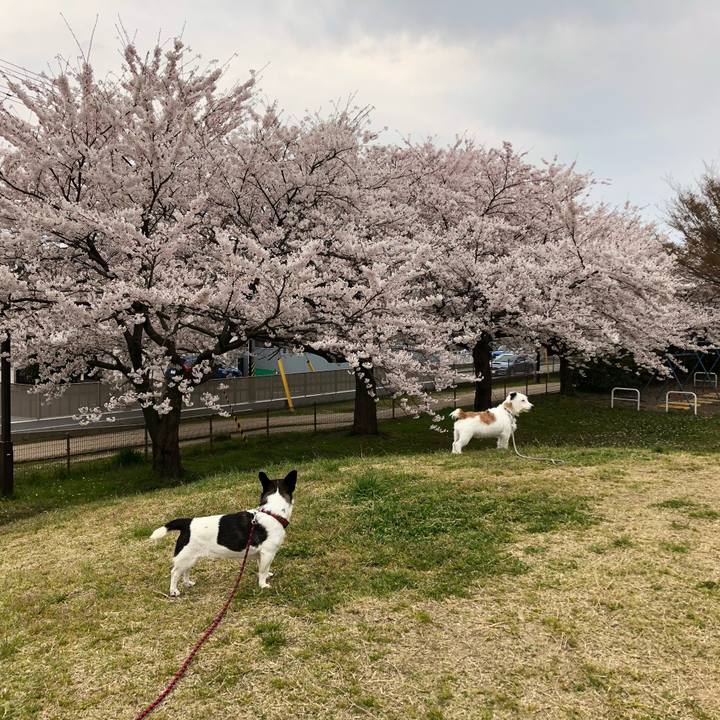 444cdbe1 b8b8 44a9 beb2 86d580533263 1555234005342