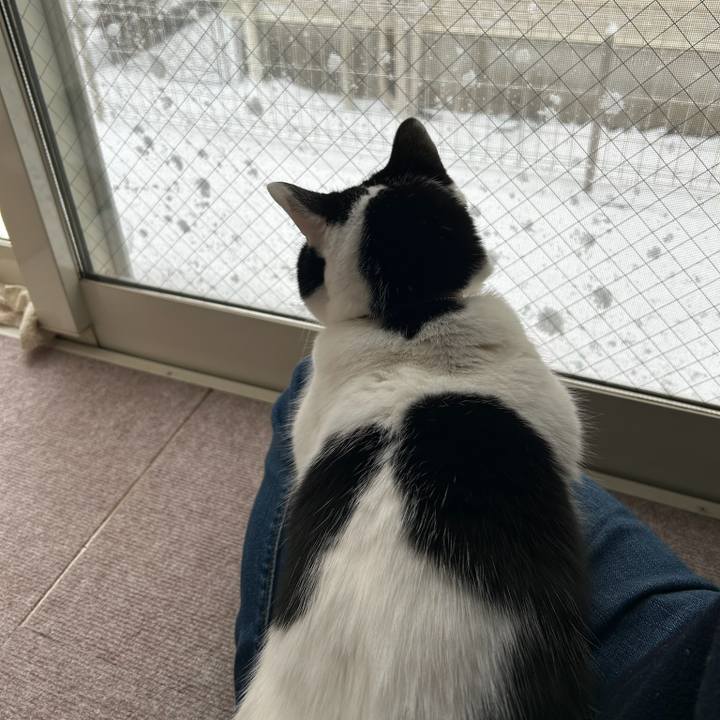 444cf757 3113 429e 9738 64dedcfa204b 1770512876211