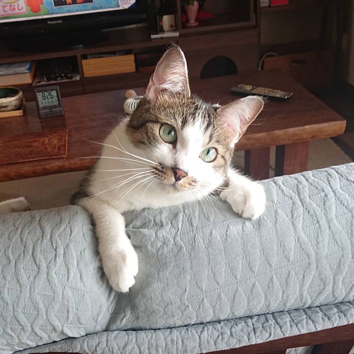 444d151a 776b 4ef3 b03c 1fbab99c1405 1663199405235