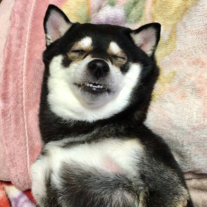 444d397c 0735 4951 a117 af83c319cbb6 1547823679232