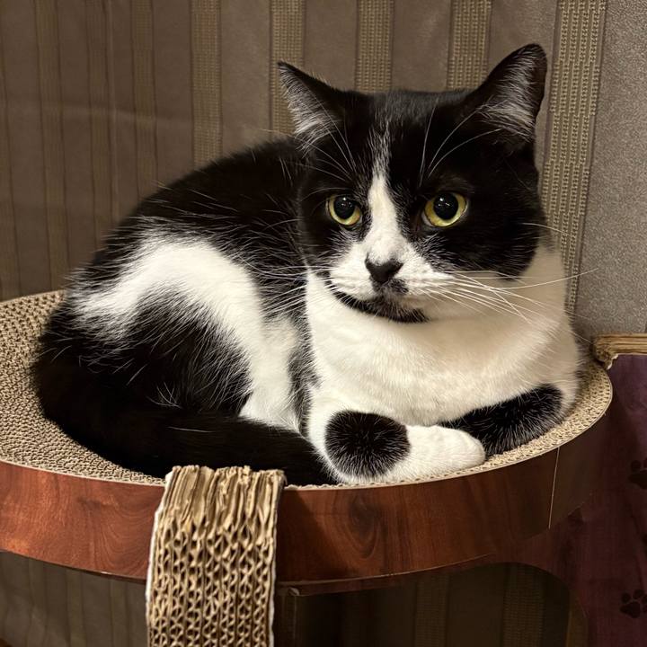 444d3ced 529c 4693 a0c0 6a0275a3cef7 1762876599221