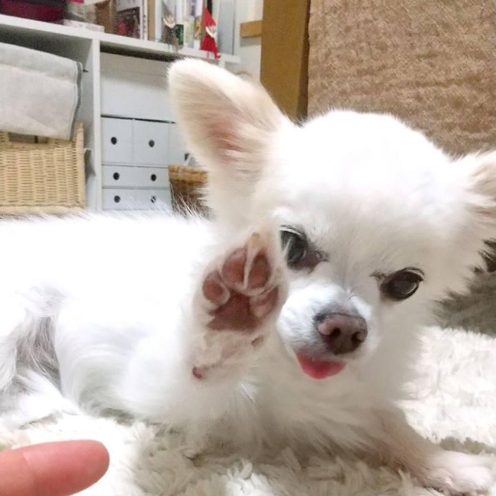 444d4c5d b9ca 4aac a277 6fc65c15bc54 1621166007665