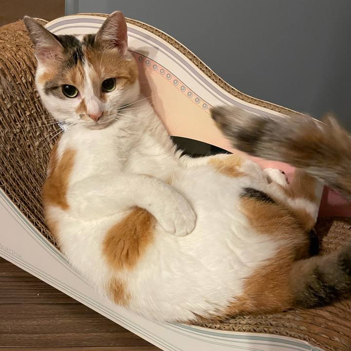 444d5039 6250 470d b9c2 e5f366afb922 1688306037826