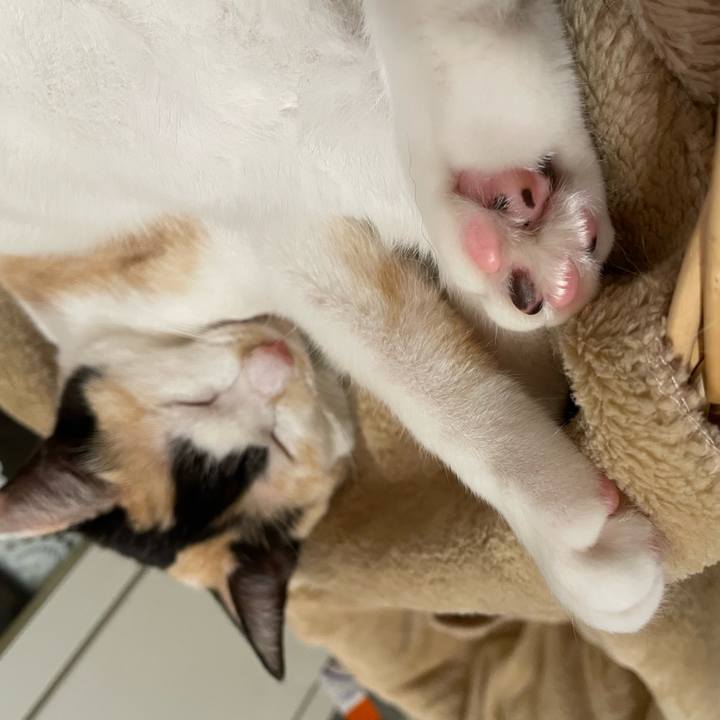 444d526f 360c 4eef aaf0 1d00b45227af 1674563525957