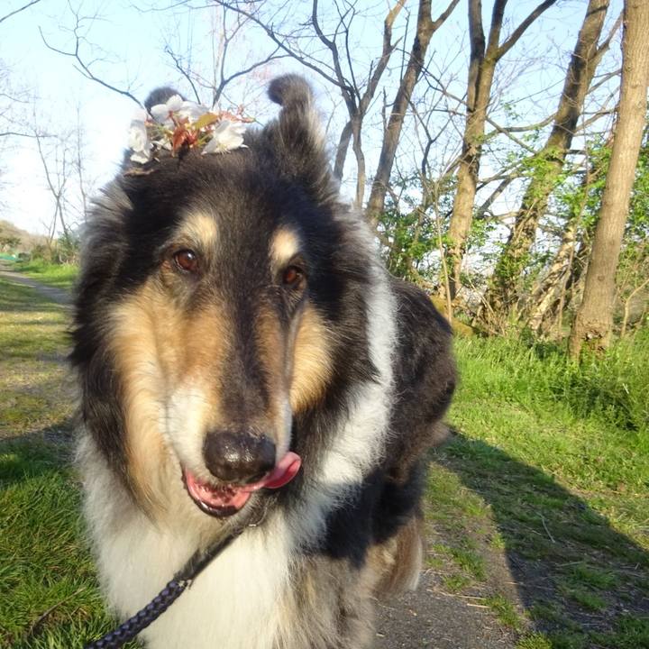 444d8c7e 1e3f 43ba b234 d67a168fe75a 1586532390486