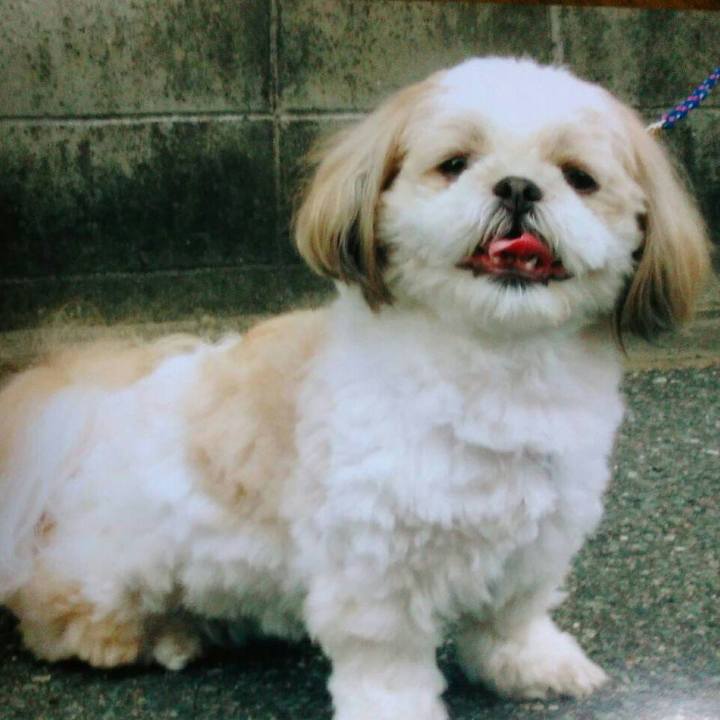 444d90ee ffeb 49fb b58f 316448eb6cb4 1509720368218