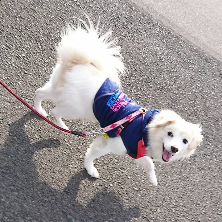 444d97f2 4bb3 427d a596 8d3af1a45bc7 1637461123647