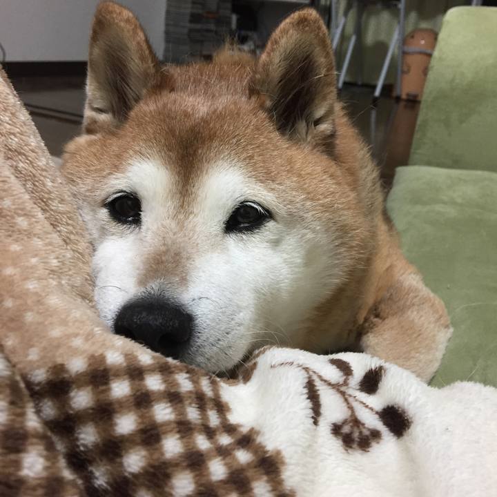 444de78c 97ab 45be b3e3 2cb0b8d9c822 1553953479997