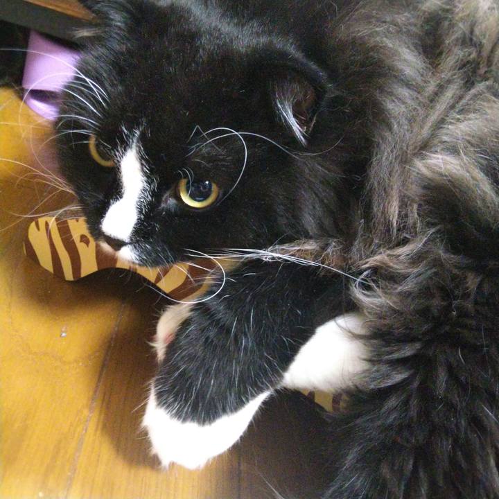 444e4511 d48f 4f92 bbf6 38a6e9d7f6b7 1659269092675