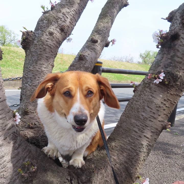 444eb22c 504a 4e9e 8e10 aeaf41784c74 1648968902049