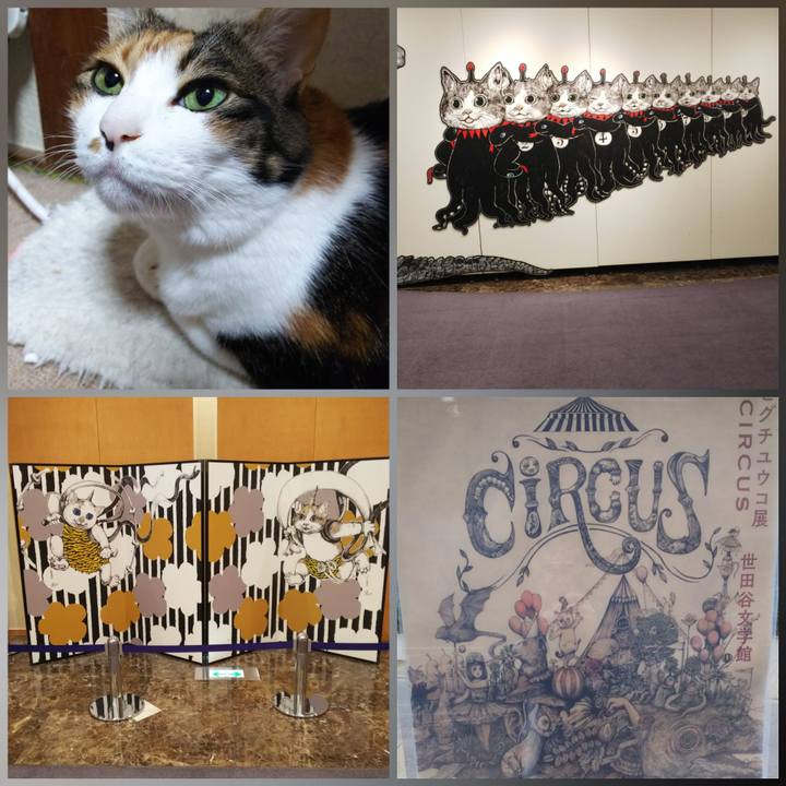 444eb5fa 4d7f 4ec1 95d6 c7a4e5f44207 1553316936512