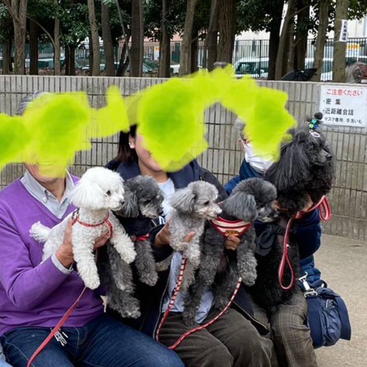 444eb7b8 293c 4540 9bd0 f3282aef9402 1678026435104