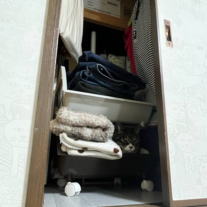 444ec2ea e01d 4040 a137 b6d462fd0852 1773616897432