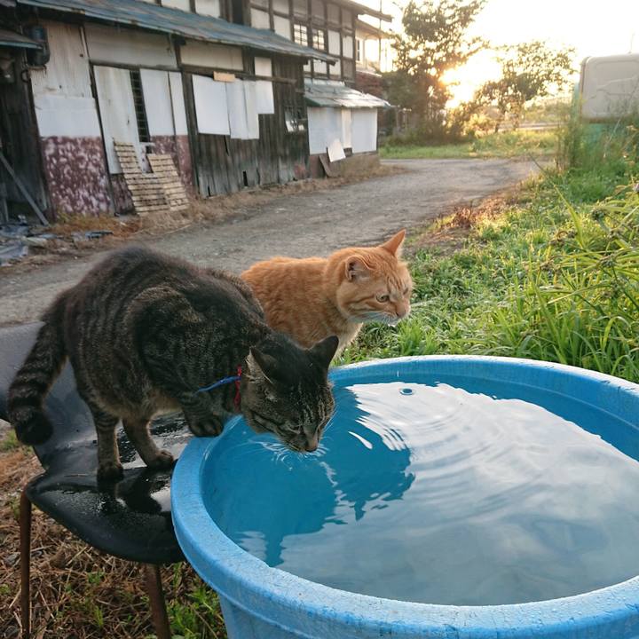 444ee202 8d39 429e a162 545febfda58b 1659300137237