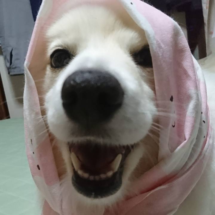 444eece0 a280 4b75 9734 73d2912bef76 1637292385884