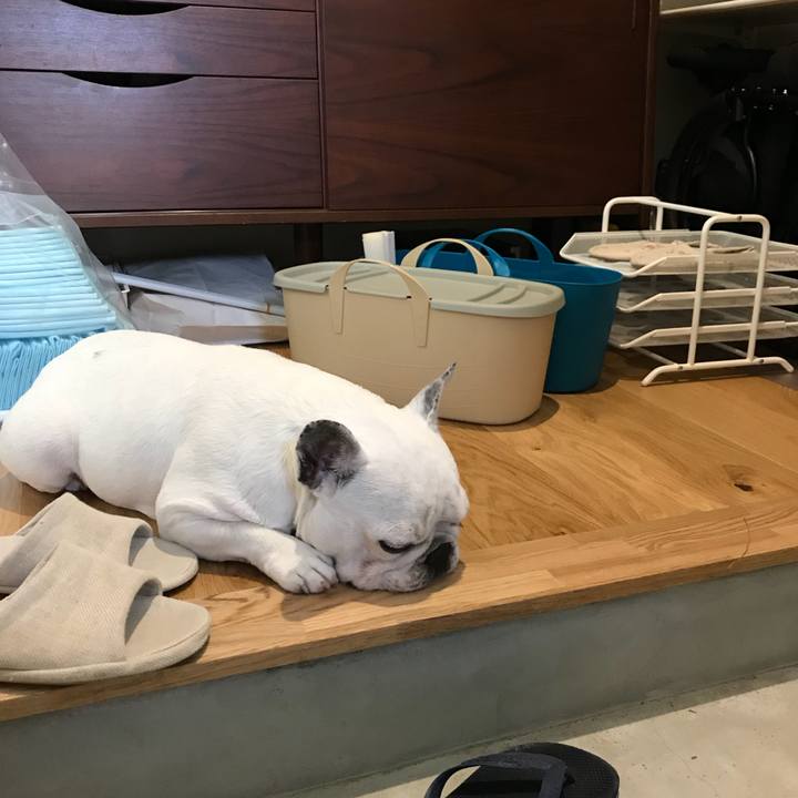 444f045e d29b 4590 9bf2 1bd94ee5daf7 1566625592340