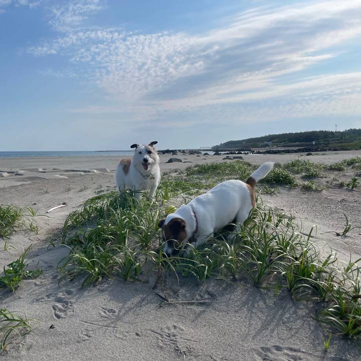 444f2375 1282 4dd4 b502 855d703981f5 1749080903117