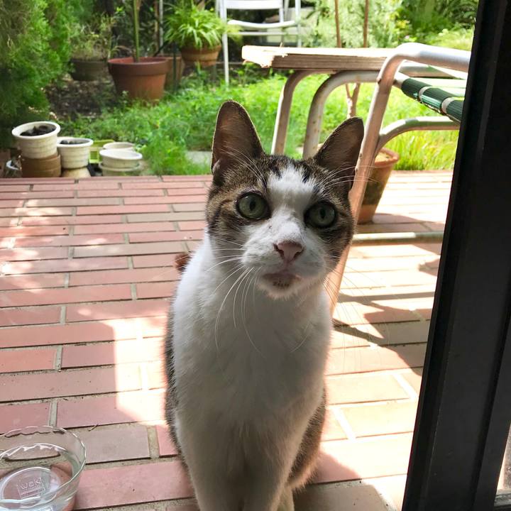 444f26d8 1571 4401 8268 74d25e1b3b52 1566381158693