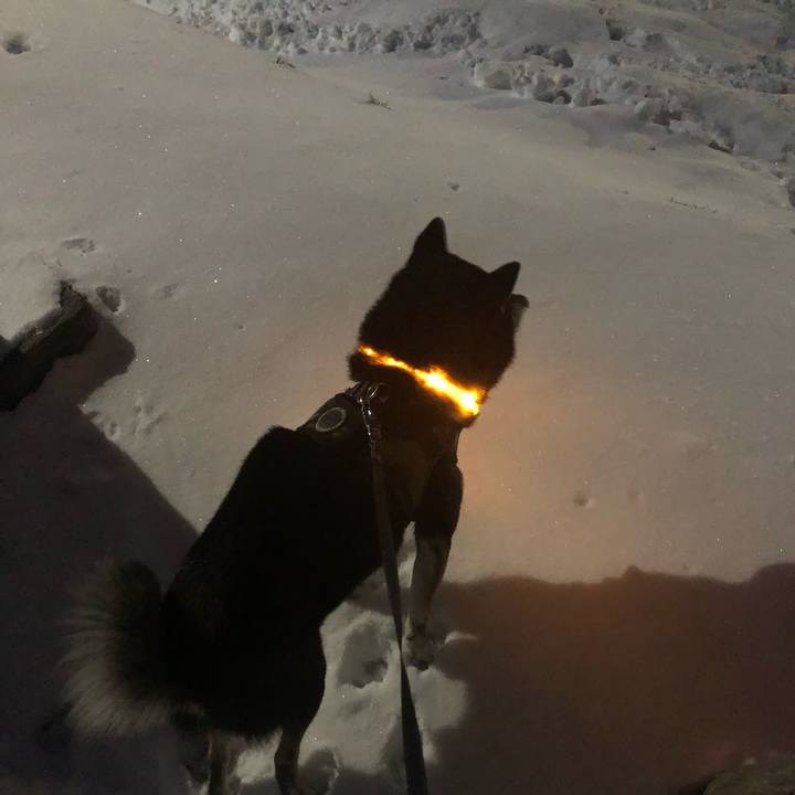 444f28ea 5d84 4e82 9ef3 1bc2d7047d48 1575591270213