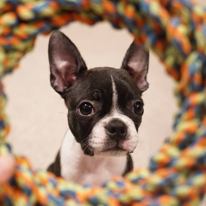 444f2a2e dd91 4e3c b4c0 04a00fe2ac0a 1540782958306