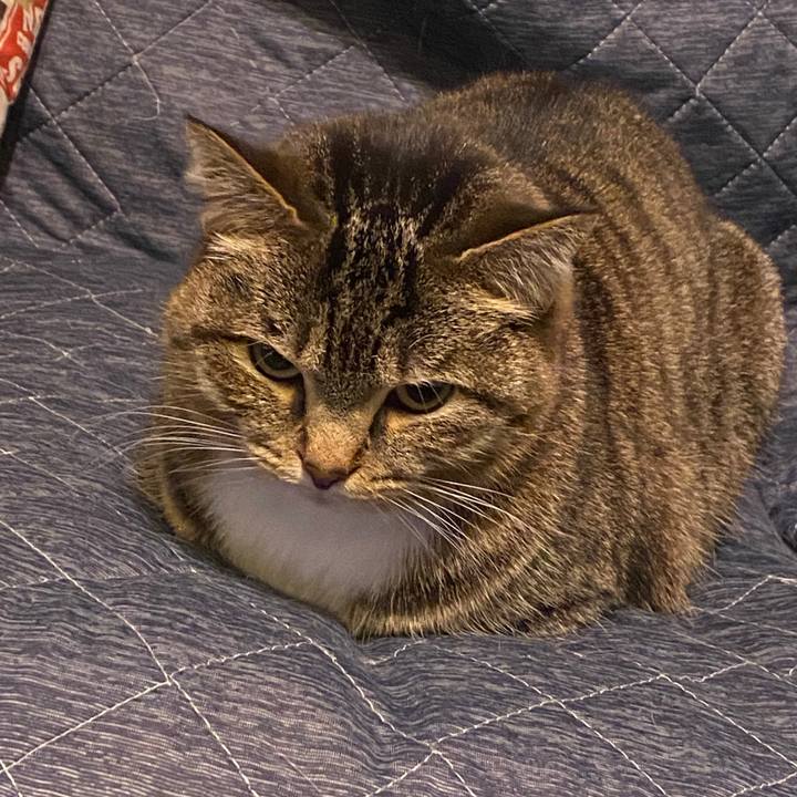 444faccd d71c 4234 bba6 9140c805dc63 1585839739963