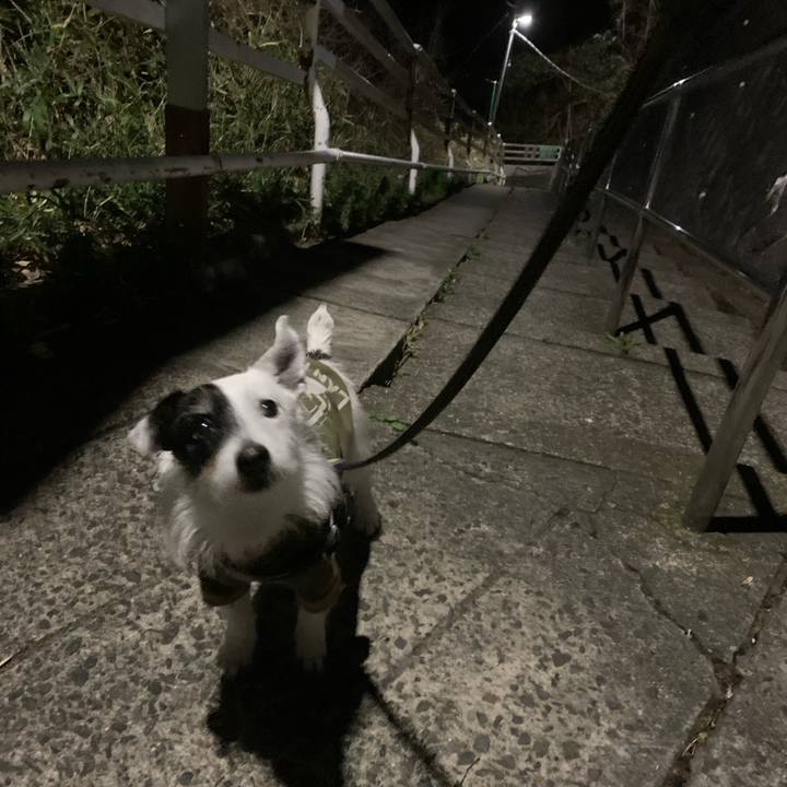 444fe5a0 22c7 4182 8dfd 757a990f16c7 1742384284582