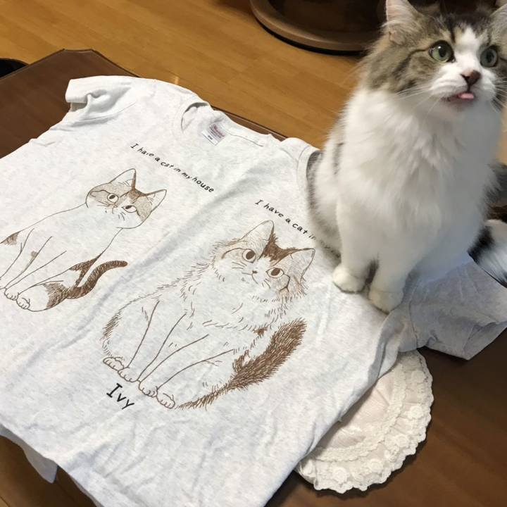 444ffa41 3833 487c bdfe a1763744c365 1566476529586