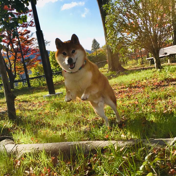 444ffb72 c0fe 4555 8da2 b0389f4d2225 1575795580452