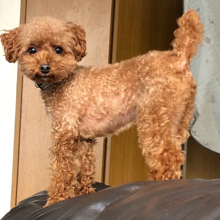 445049e7 707d 447b bc74 f8c0ec37321f 1545950394362