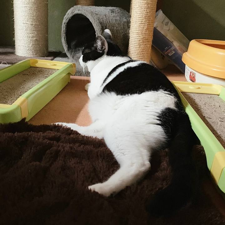 4450514d ac7f 4dfa 82a0 e74b766ae447 1556506440846