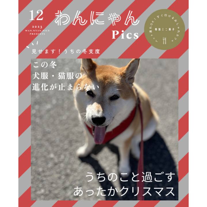 4450529e a032 41ed 9b08 e47caf10ea2f 1701763343172