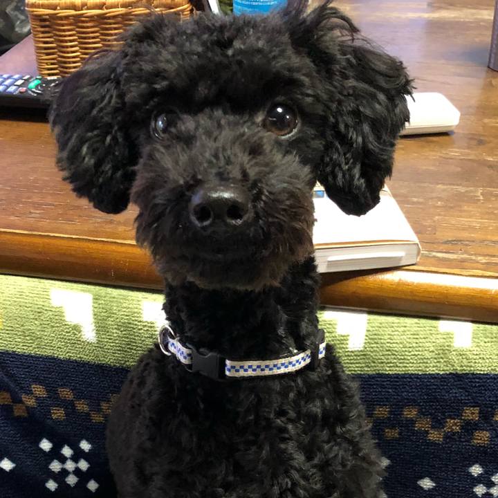 44506546 be30 4544 8ed8 f4b9020d1c37 1516688902054