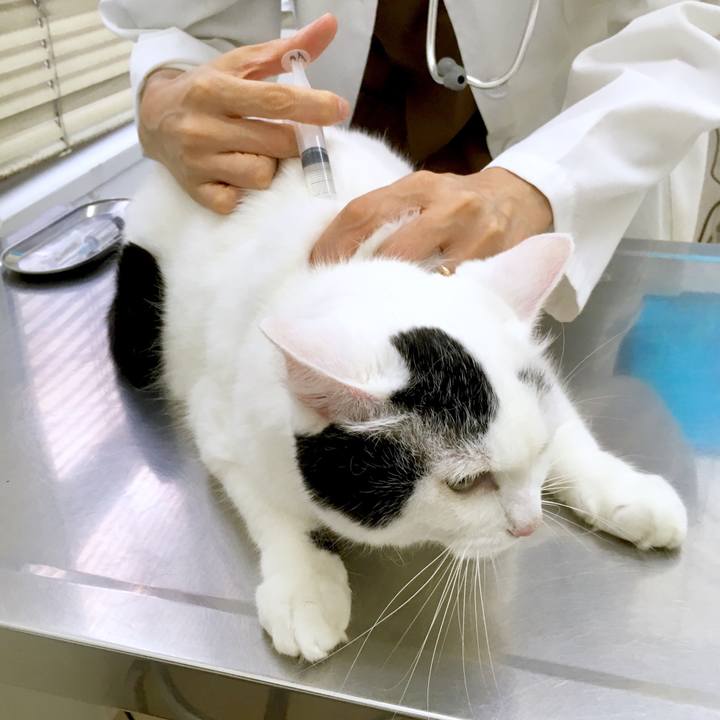 44509aa5 89c1 4269 a210 45088e484f4e 1567577451725