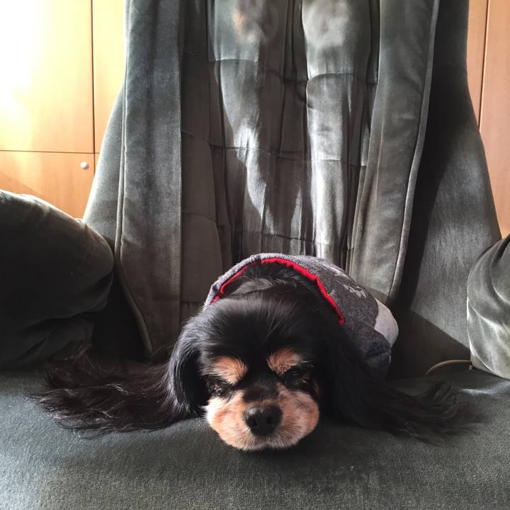 44510306 bbd3 40e6 963e e09610eaef50 1594304968624