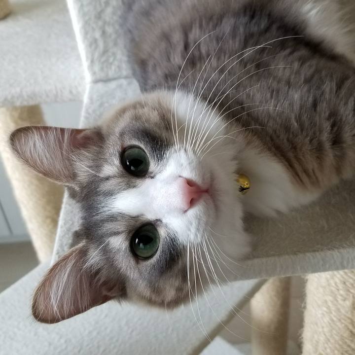 445109c2 b946 4995 a6f3 633d5eb31fb2 1524034639267