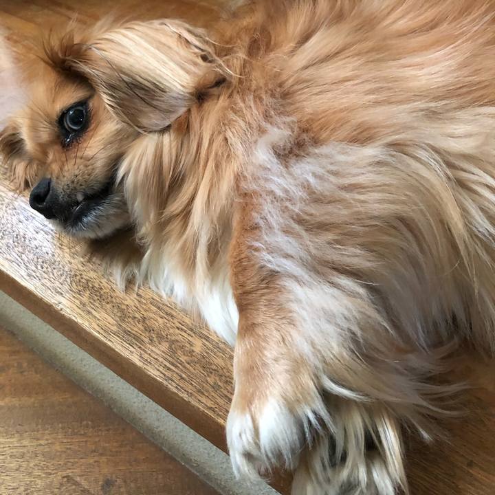 44511fc5 9f8c 487c a8af 48f7d3d64761 1560807775059