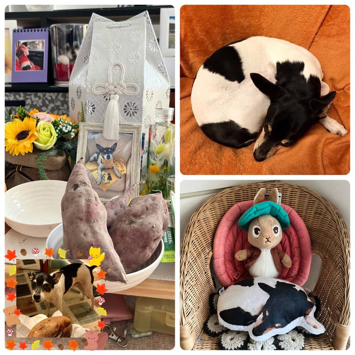 4451289c 08a4 4bc8 9c03 5fe343a3a0ba 1670281888447