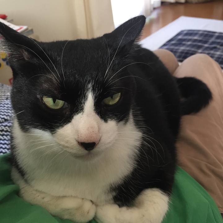 445131ea dceb 432b 8949 59f0796983c1 1535152516082