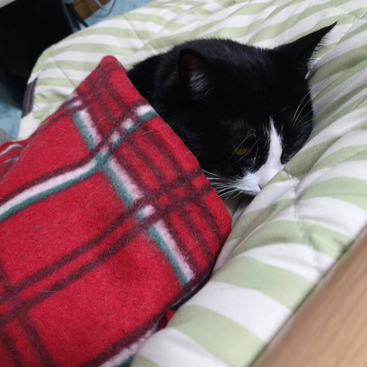 445137b9 37a0 4060 959b 5ad7d74396f6 1641700272603