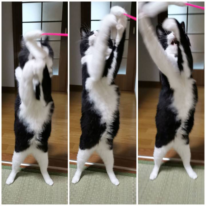 44514620 2d3c 4f34 a629 3944a077a486 1665032887173