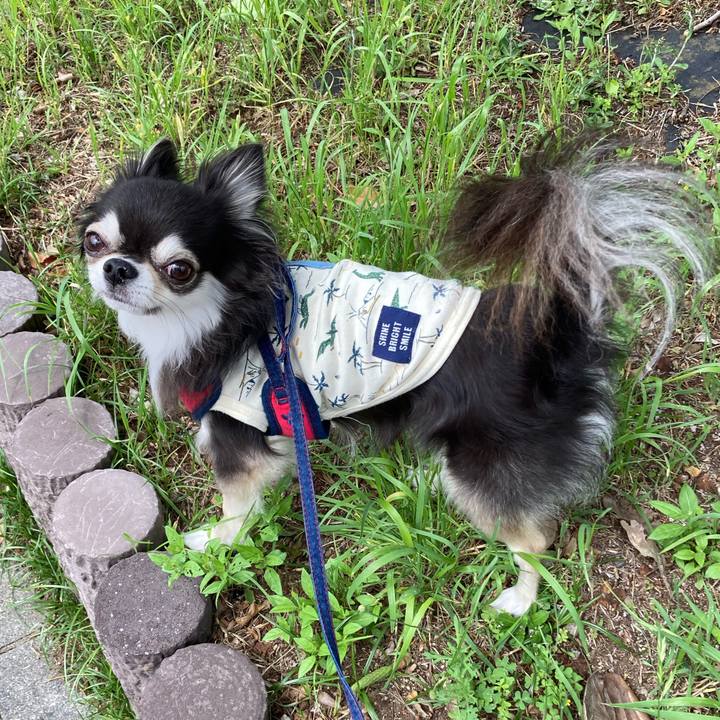 4451aca5 5a9f 4601 bcbc 89c39f05fb0b 1714992786120