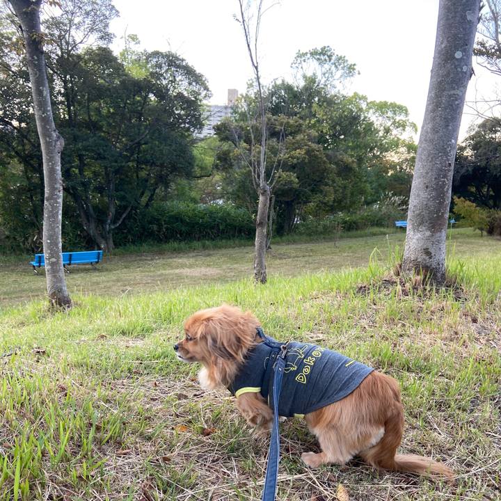 4451b0bb 2335 4745 ae90 d48a5336cd9e 1634939655561