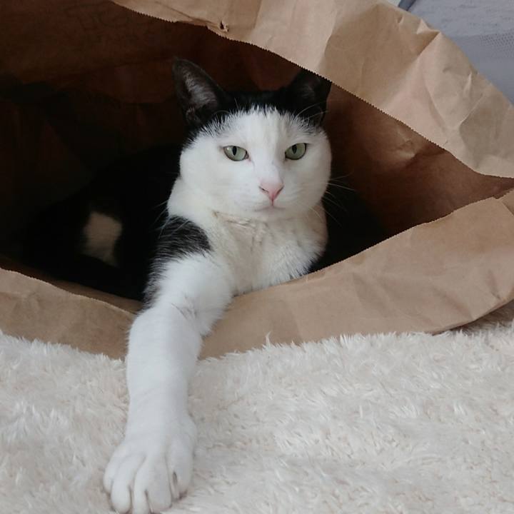 4451c0b1 0aea 4d53 9d5b 0ce54858cbaf 1516687260592